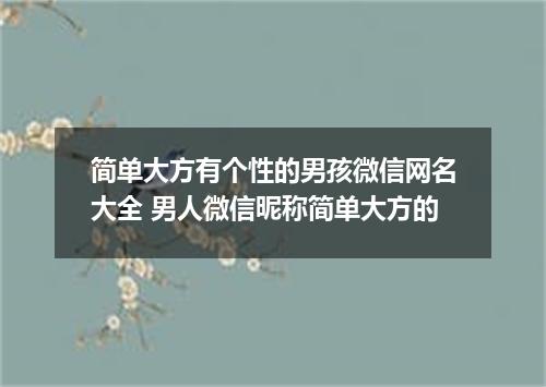 简单大方有个性的男孩微信网名大全 男人微信昵称简单大方的
