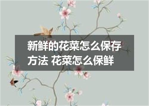 新鲜的花菜怎么保存方法 花菜怎么保鲜