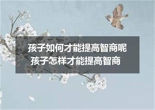 孩子如何才能提高智商呢 孩子怎样才能提高智商