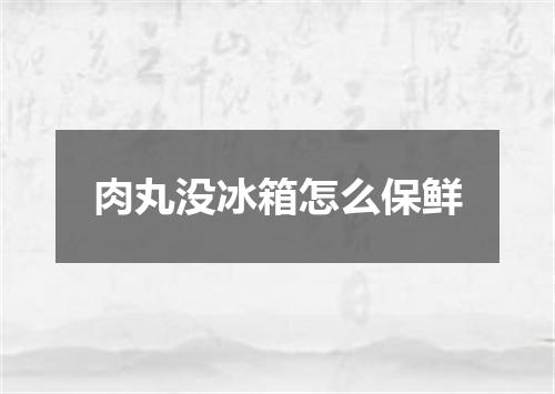 肉丸没冰箱怎么保鲜