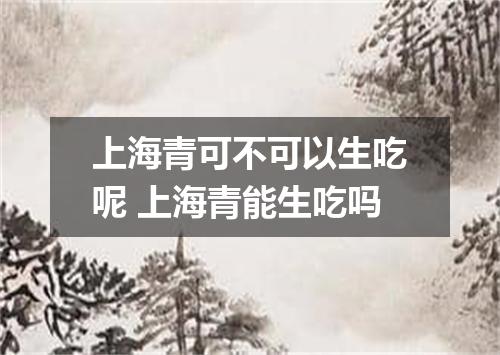 上海青可不可以生吃呢 上海青能生吃吗
