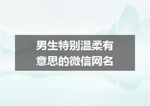 男生特别温柔有意思的微信网名