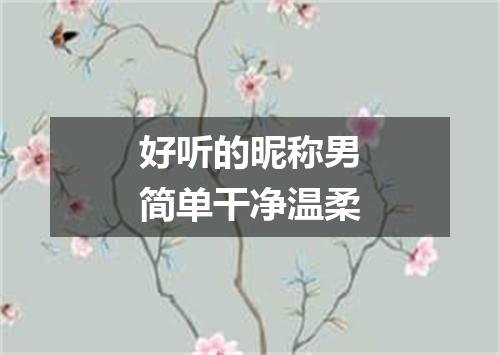 好听的昵称男简单干净温柔