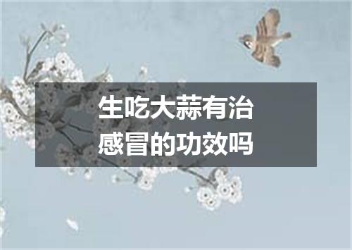 生吃大蒜有治感冒的功效吗