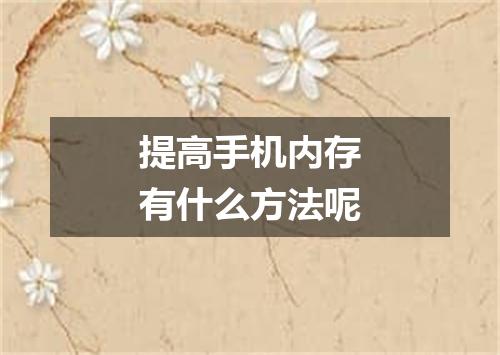 提高手机内存有什么方法呢