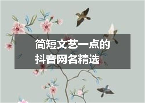 简短文艺一点的抖音网名精选