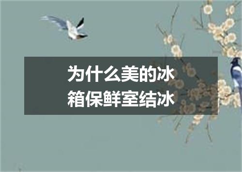 为什么美的冰箱保鲜室结冰