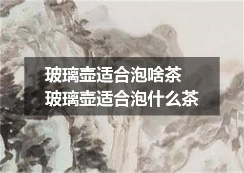 玻璃壶适合泡啥茶 玻璃壶适合泡什么茶