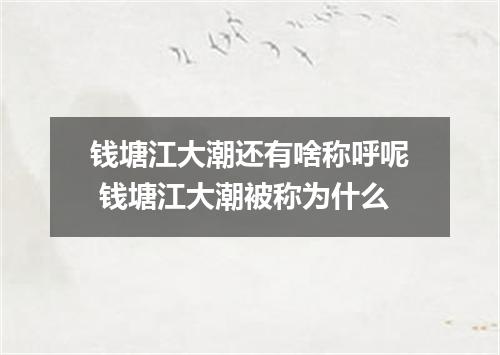 钱塘江大潮还有啥称呼呢 钱塘江大潮被称为什么