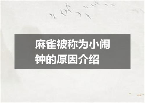 麻雀被称为小闹钟的原因介绍