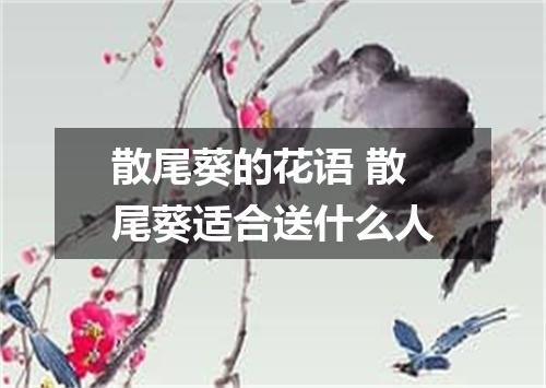 散尾葵的花语 散尾葵适合送什么人