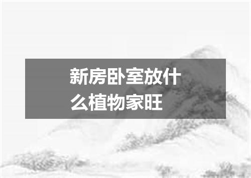 新房卧室放什么植物家旺