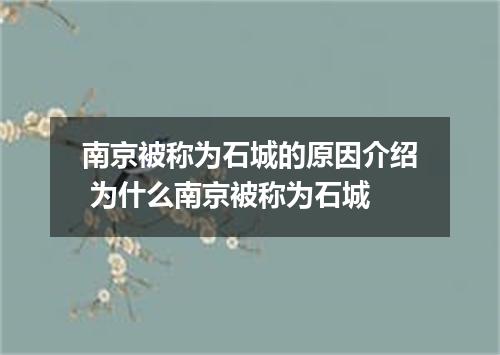 南京被称为石城的原因介绍 为什么南京被称为石城