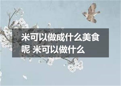 米可以做成什么美食呢 米可以做什么