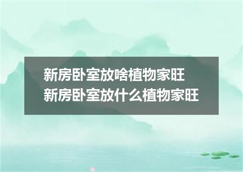 新房卧室放啥植物家旺 新房卧室放什么植物家旺