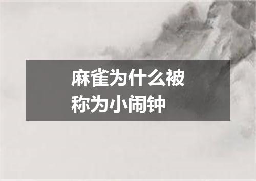 麻雀为什么被称为小闹钟