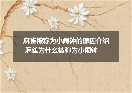 麻雀被称为小闹钟的原因介绍 麻雀为什么被称为小闹钟