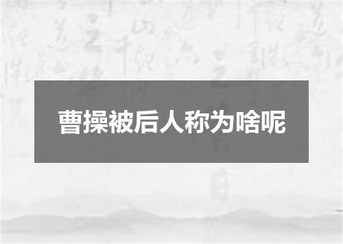 曹操被后人称为啥呢