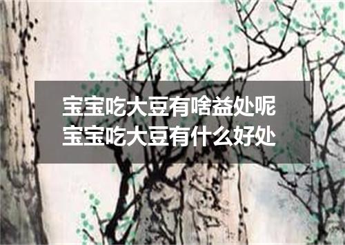 宝宝吃大豆有啥益处呢 宝宝吃大豆有什么好处