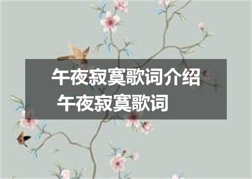 午夜寂寞歌词介绍 午夜寂寞歌词