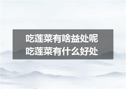 吃莲菜有啥益处呢 吃莲菜有什么好处