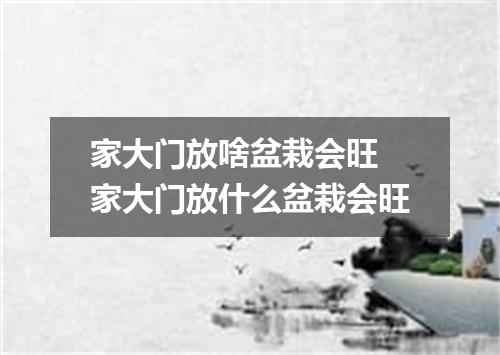 家大门放啥盆栽会旺 家大门放什么盆栽会旺