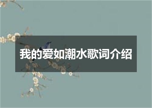 我的爱如潮水歌词介绍