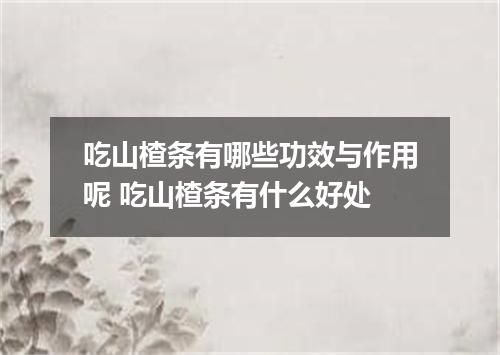 吃山楂条有哪些功效与作用呢 吃山楂条有什么好处