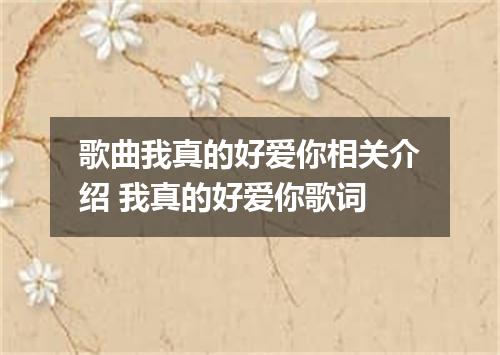 歌曲我真的好爱你相关介绍 我真的好爱你歌词