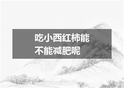吃小西红柿能不能减肥呢