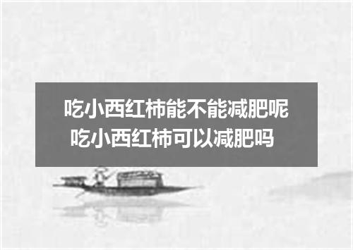 吃小西红柿能不能减肥呢 吃小西红柿可以减肥吗