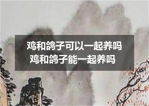 鸡和鸽子可以一起养吗 鸡和鸽子能一起养吗