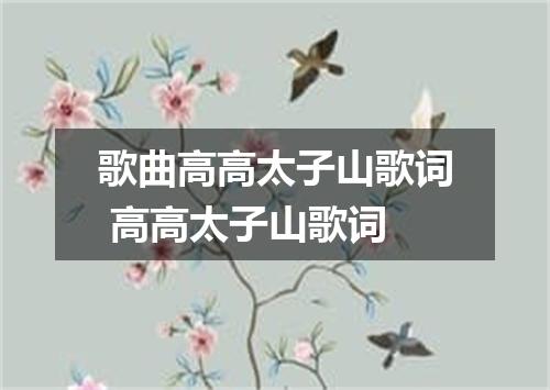 歌曲高高太子山歌词 高高太子山歌词