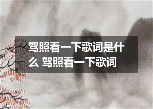 驾照看一下歌词是什么 驾照看一下歌词