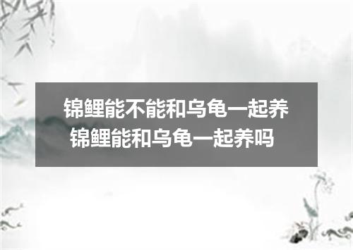 锦鲤能不能和乌龟一起养 锦鲤能和乌龟一起养吗