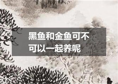 黑鱼和金鱼可不可以一起养呢