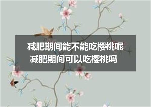 减肥期间能不能吃樱桃呢 减肥期间可以吃樱桃吗