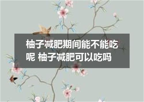 柚子减肥期间能不能吃呢 柚子减肥可以吃吗