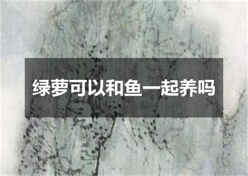 绿萝可以和鱼一起养吗