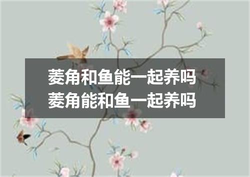 菱角和鱼能一起养吗 菱角能和鱼一起养吗