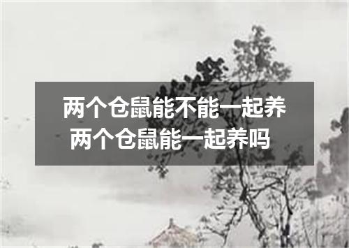 两个仓鼠能不能一起养 两个仓鼠能一起养吗