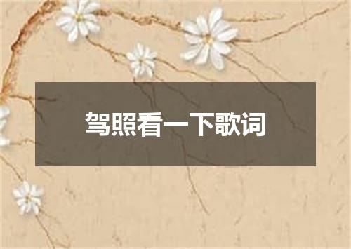 驾照看一下歌词