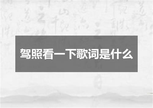 驾照看一下歌词是什么