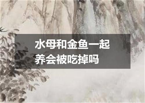 水母和金鱼一起养会被吃掉吗