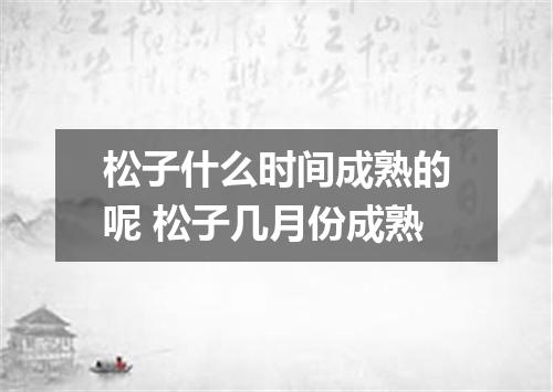 松子什么时间成熟的呢 松子几月份成熟