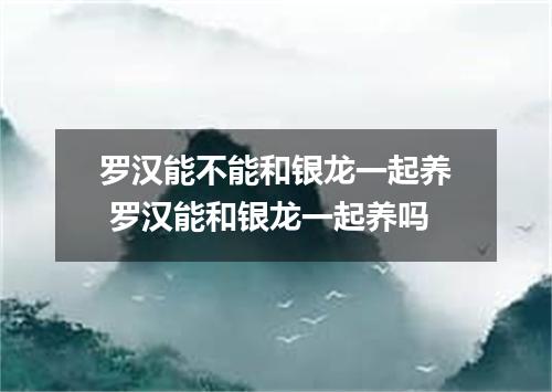 罗汉能不能和银龙一起养 罗汉能和银龙一起养吗