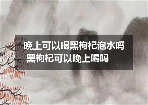晚上可以喝黑枸杞泡水吗 黑枸杞可以晚上喝吗
