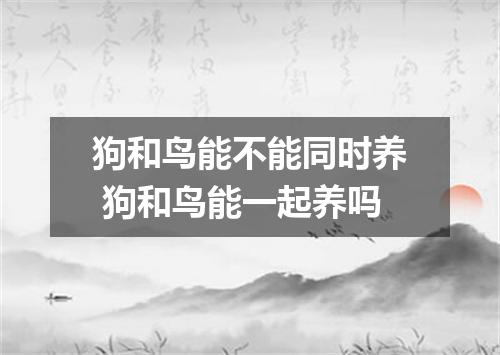 狗和鸟能不能同时养 狗和鸟能一起养吗