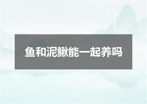 鱼和泥鳅能一起养吗