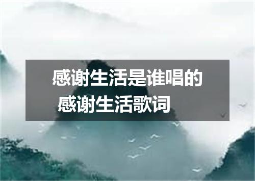 感谢生活是谁唱的 感谢生活歌词